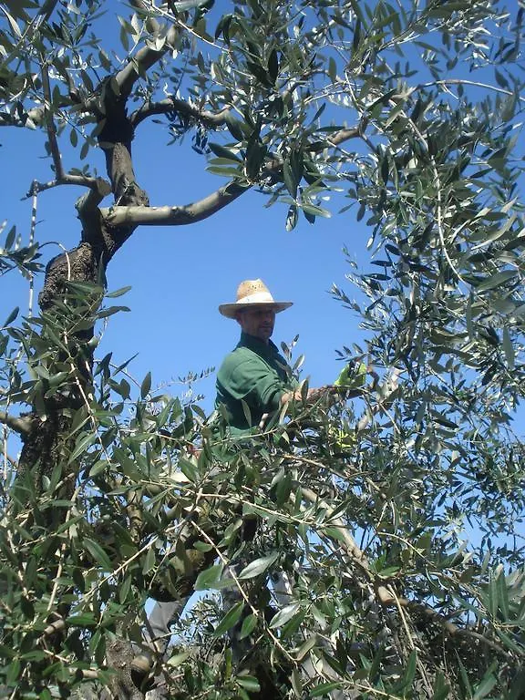 Farm stay Podere Delle Fanciulle Pistoia Italy