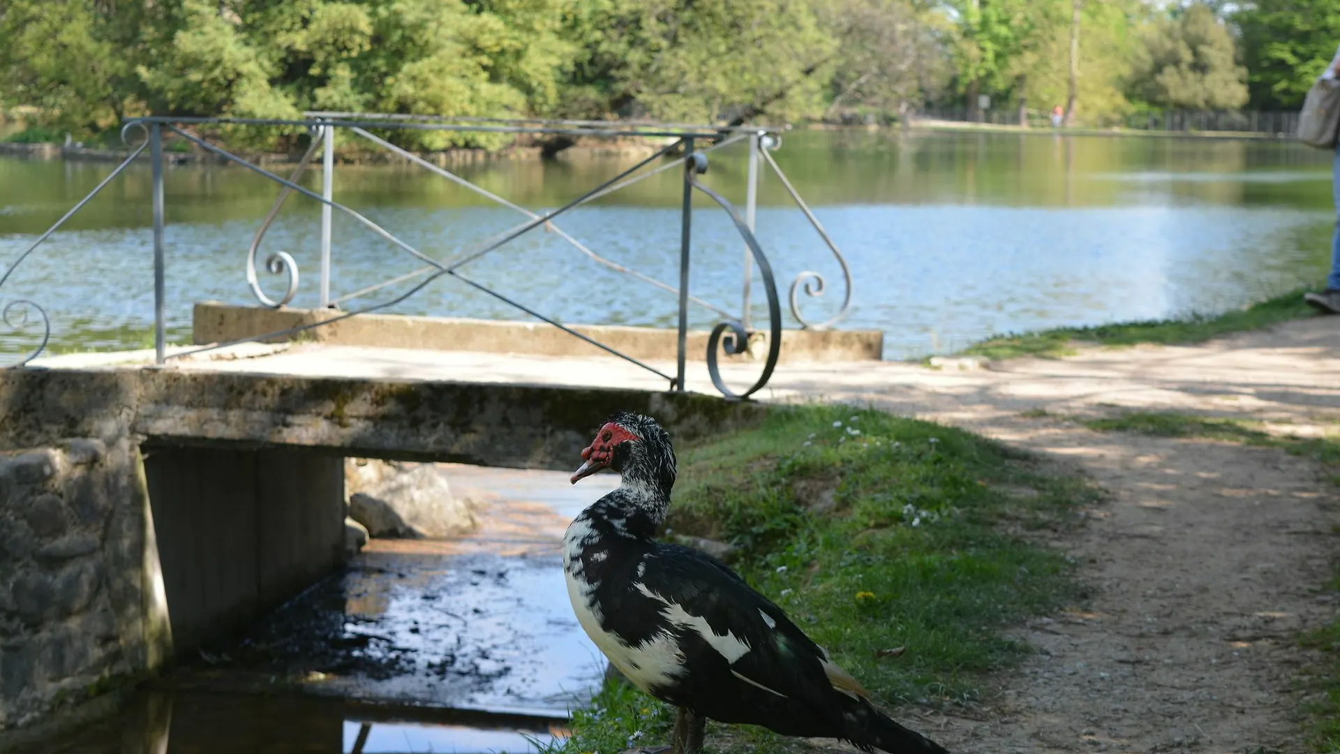 Farm stay Podere Delle Fanciulle Pistoia Italy