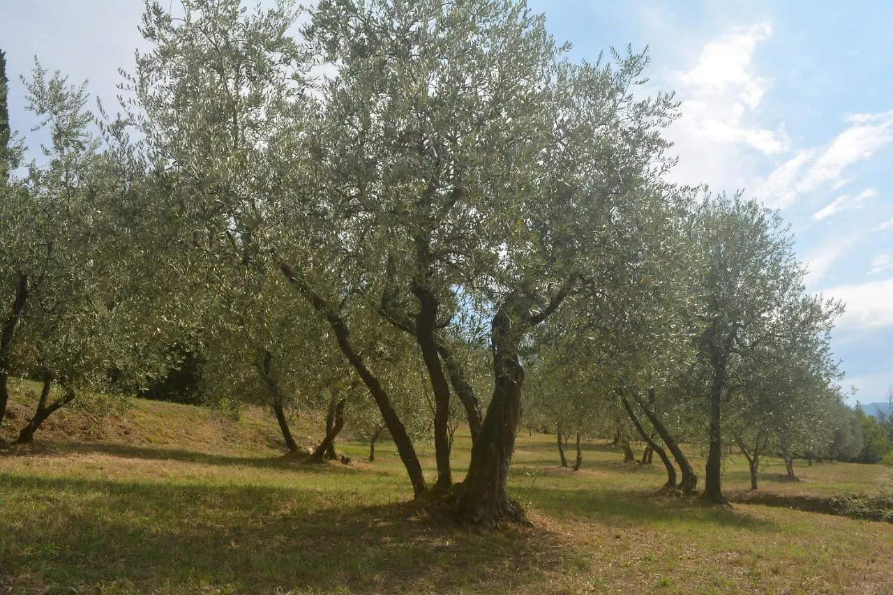 Podere Delle Fanciulle Pistoia